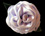 Wisteria Silk-Satin Flower
