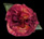 Briar Rose Silk Flower