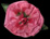 Carnation Silk Flower