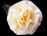 Daisy Mae Silk Flower