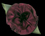 Garnet Silk Flower