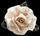 Bridal Ivory XL Satin Flower